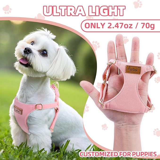 PUPTECK Dog Harness and Leash Set Small Sized, Step-in Cute Puppy Harness, Soft Lightweight Padded Vest, Escape Proof No Pull Pet Harnesses Easy for Walking, Pink, M