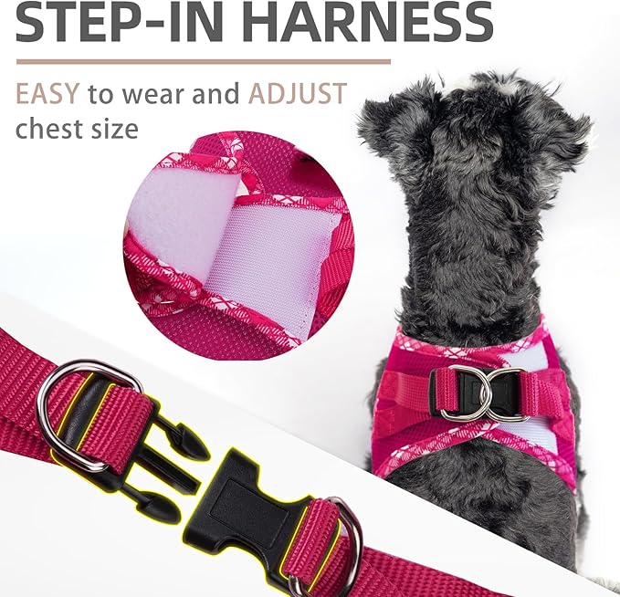 PUPTECK Dog Harness and Leash Set for Small Medium Dogs No Pull Step-in Soft Mesh Puppy Cat Vest Harnesses Reflective at Night, Fuchsia, L