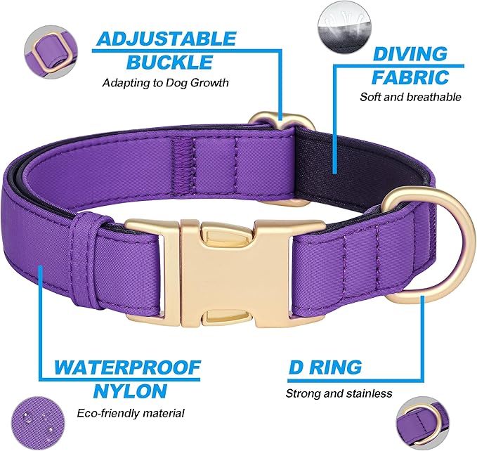 Didog Soft Padded Dog Collar for Large Dogs, Waterproof and Durable Pet Collar with Quick Release Buckle, Light and Breathable for Daily Walking,Purple,L(Neck15-23)
