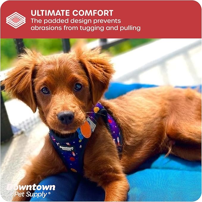 Downtown Pet Supply Step in Dog Harness for Small Dogs No Pull, Large, Space - Adjustable Harness with Padded Mesh Fabric and Reflective Trim - Buckle Strap Harness for Dogs