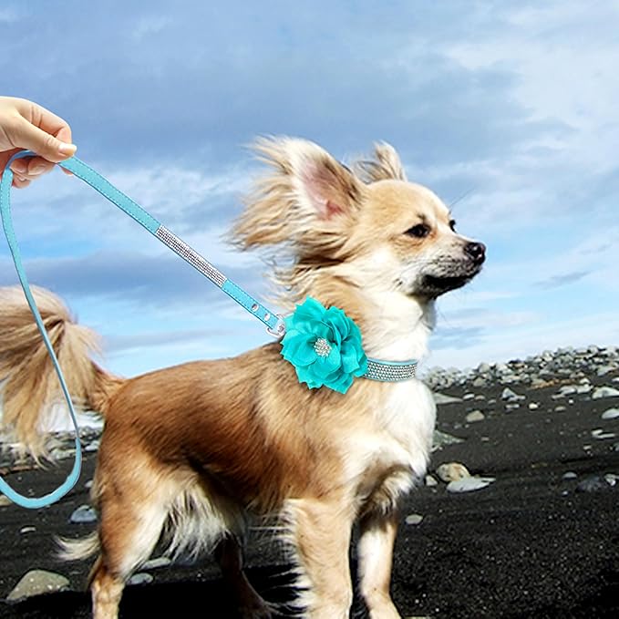 PET ARTIST Bling Dog Collars for Small Puppy Dogs, Sparkling Rhinestone Dog Collar Leather with Flower, Soft & Cute Blue Pet Collars for Male Dogs Walking Party Wedding,S