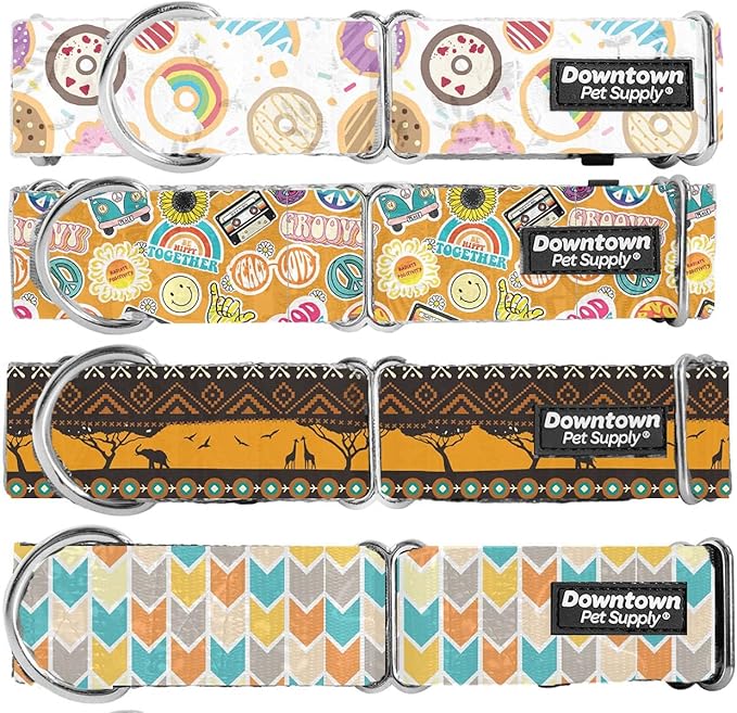 Downtown Pet Supply - Martingale Collar for Dogs - Dog Training Collar - Big, Wide & Thick Dog Collar - Escape-Proof, Weatherproof, Durable and Comfortable - Sahara - Small Dog Collar