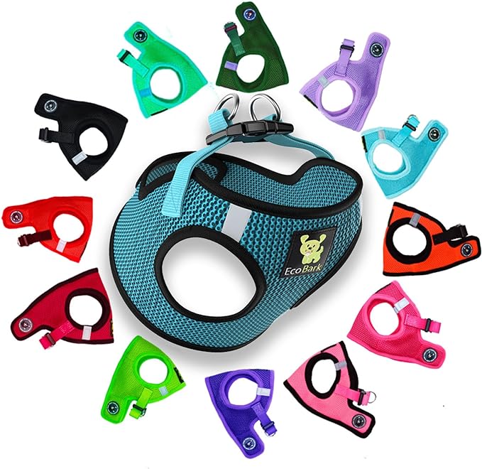 EcoBark Step in Dog Harness - Eco-Friendly Small Breed Dog Harnesses for Toy Breed Dogs - Reflective and Adjustable Mini Body Halter Vest - Soft Mesh Toy Breed Harness (Aqua Blue, Small)
