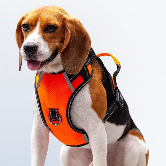 No Pull Dog Harness, Reflective Walking Dog Harness with Easy Control Handle and Front & Back Clips,Adjustable Breathable Soft Padded Dog Vest Harness for Large Medium Small Dogs,Orange,L