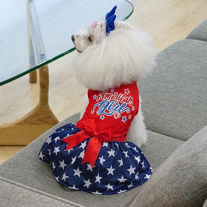 CuteBone Dog Mesh Dress Puppy Sundress Pet Outfit Summer Fashion for Small Dogs Girl Cat Clothes BF26XXS-D