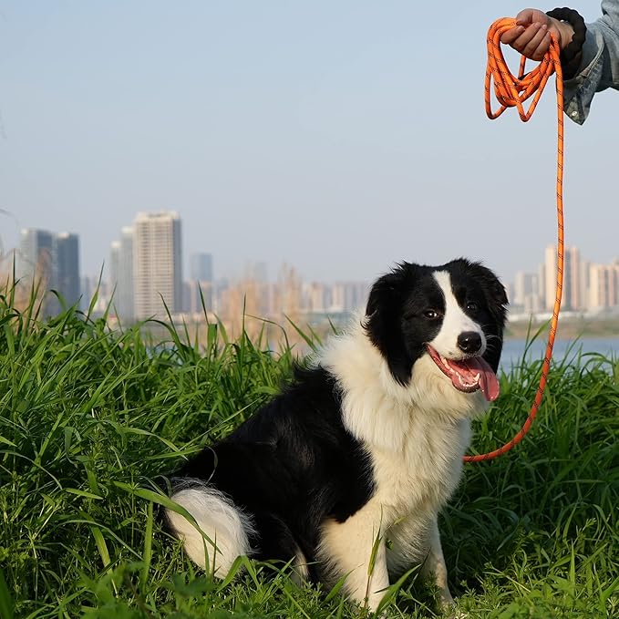 NTR Heavy Duty Dog Leash,15FT Orange Leash for Dog Training with Swivel Lockable Hook,Reflective Threads and Comfortable Handle,Dog Lead for Walking,Hunting,Camping for Medium and Large Dog