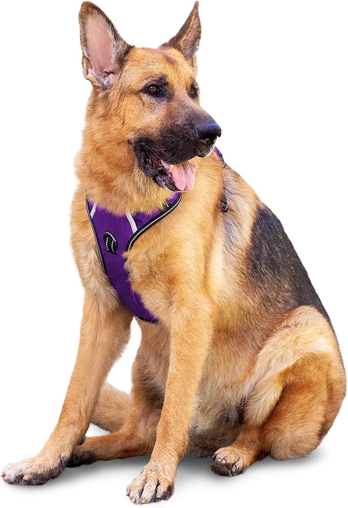 No Pull Dog Harness, Reflective Walking Dog Harness with Easy Control Handle and Front & Back Clips,Adjustable Breathable Soft Padded Dog Vest Harness for Large Medium Small Dogs,Purple,XL