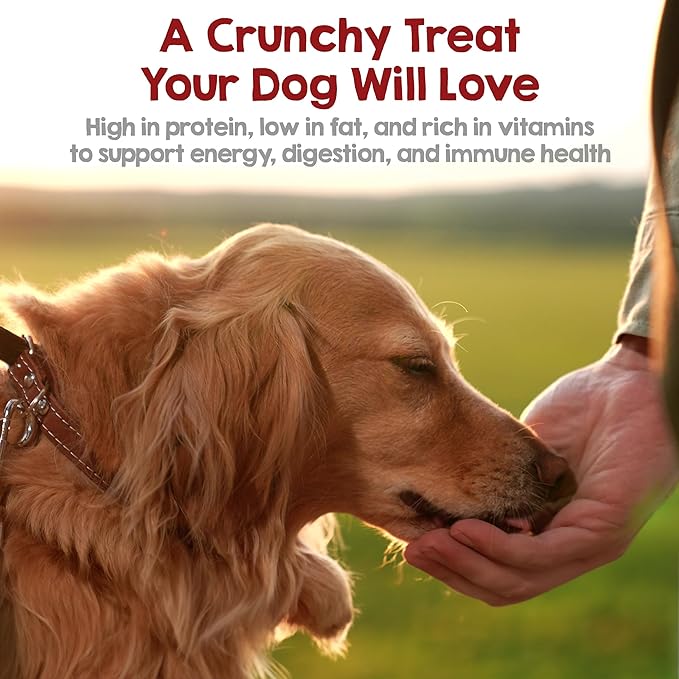 Riley's Waffles Chicken Chips for Dogs w Carrots - USA Sourced Chicken Dog Treats, Limited Ingredient Dog Treats, Dehydrated Jerky Treats Made in USA