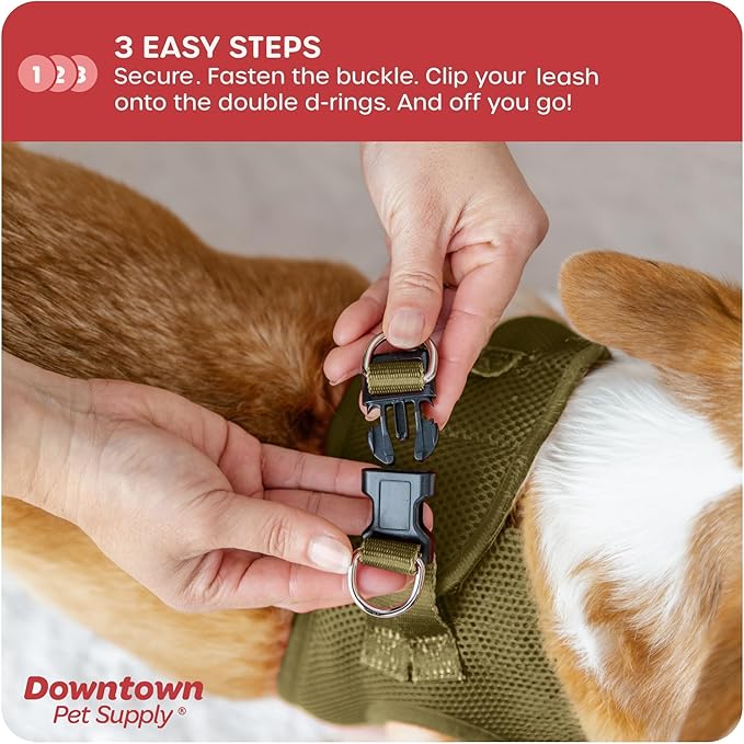Downtown Pet Supply Step in Dog Harness for Small Dogs No Pull, Medium, Hunter Green - Adjustable Harness with Padded Mesh Fabric and Reflective Trim - Buckle Strap Harness for Dogs