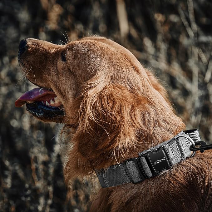OneTigris Tough Dog Collars, Tactical Dog Collar with Handle, Milltary Adjustable Dog Collar with Heavy Duty Metal Buckle for Training (Large,Gray)