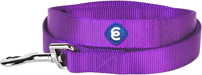 Blueberry Pet Essentials Durable Classic Dog Leash | Basic Nylon Dog Leash | 5ft. x 3/4" Medium Dog Leash | Dark Orchid Dog Leash | Standard Dog Leashes & Lightweight Dog Leash for Training