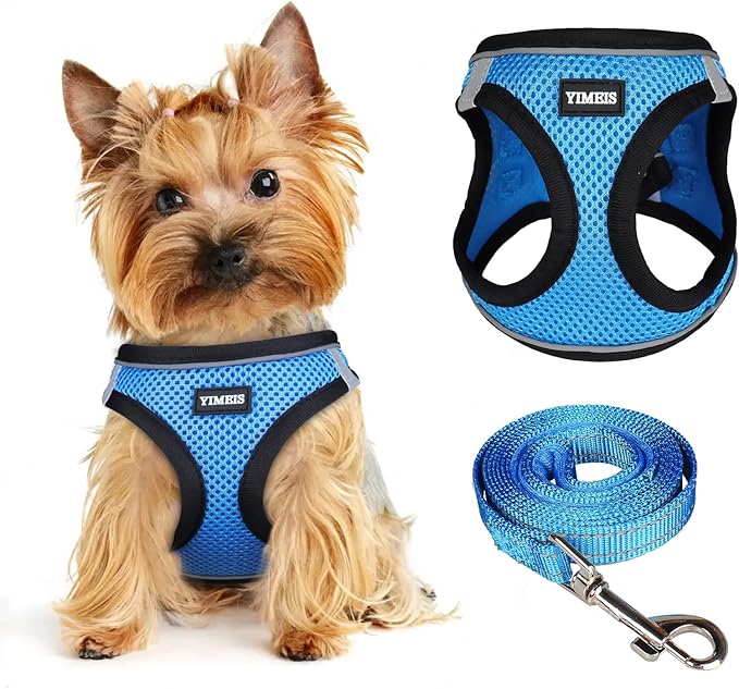 Dog Harness for Small Dogs and Leash Set, Honeycomb Grid, Reflective Lightweight Harness & Anti-Twist Pet Lead Multi Color, Size: XS-S-M. (M, Marine Blue)
