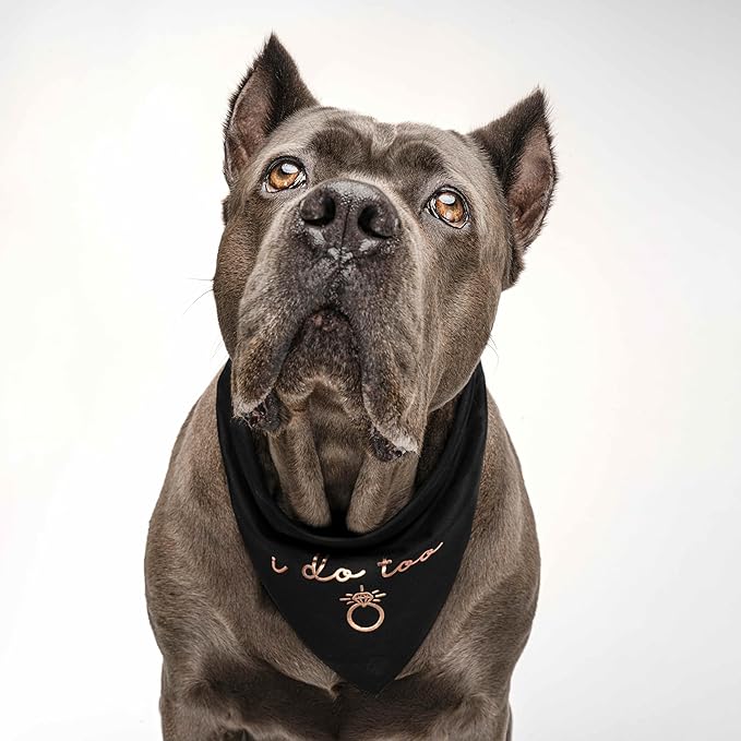 I Do Too Metallic Printed Dog Bandana | 100% Cotton Adjustable Triangle | Wedding Photo Prop | Bridal Shower | Engagement Announcement |Black, Rose Foil (1320)