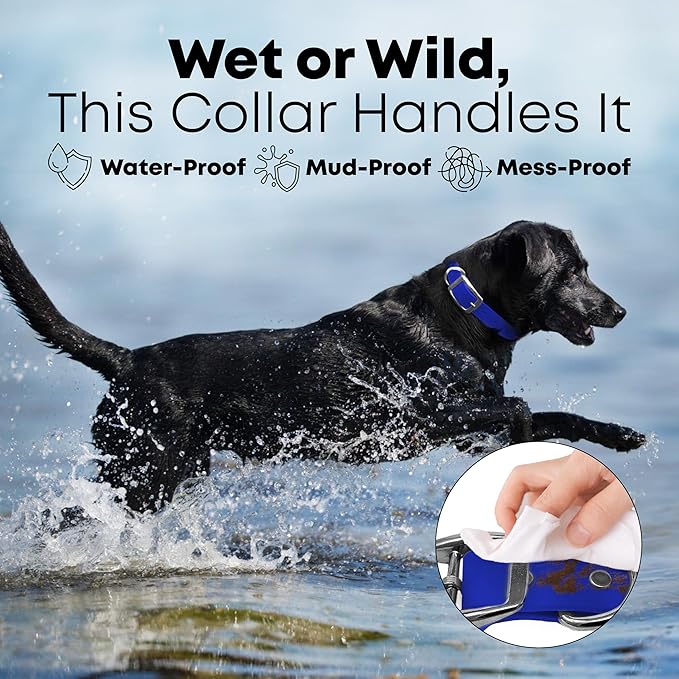 Regal Dog Products Small Blue Dog Collar with Heavy Duty Double Buckle & D Ring | Vinyl Coated, Custom Fit, Adjustable Biothane Dog Collar | Chew Resistant Waterproof Collar for Dogs