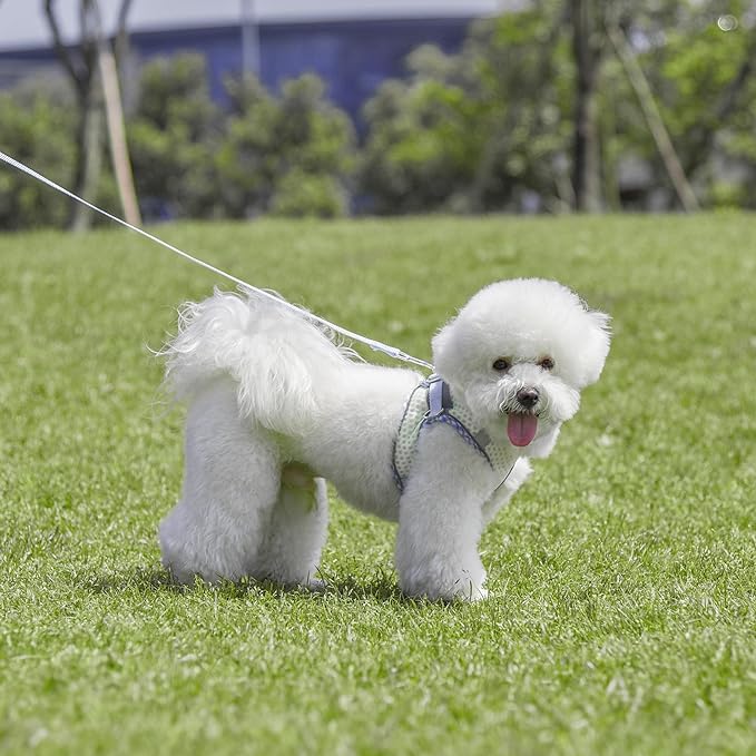 Step in Dog Harness and Leash Set, No Pull Escape Proof Vest Harness with Soft Diamond Mesh and Reflective Bands, Adjustable Pet Outdoor Harnesses for Medium Size Dogs White M
