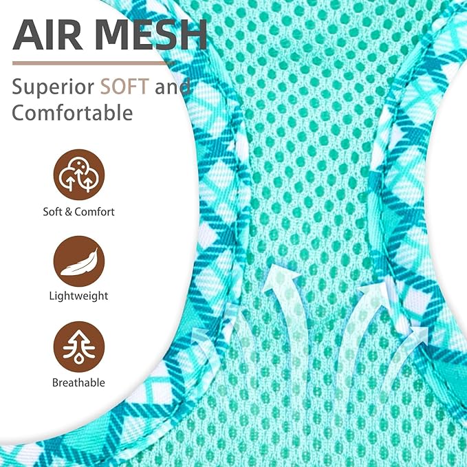 PUPTECK Dog Harness and Leash Set for Small Medium Dogs No Pull Step-in Soft Mesh Puppy Cat Vest Harnesses Reflective at Night, Green M