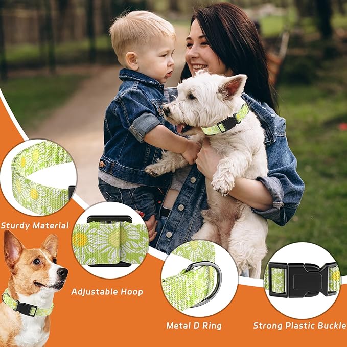 Dog Collar, Daisy Floral Puppy Collar for Boys Girls Small Medium Large Dogs, Adjustable Soft Pet Collar Fancy Floral with Quick Release Buckle for Males Females, Light Green Daisy,M