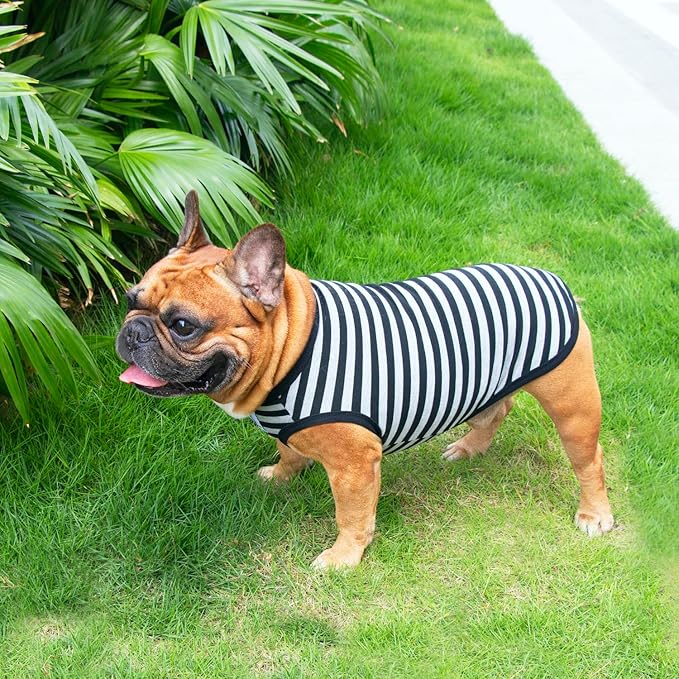iChoue 3pcs French Bulldog Striped Shirts 100% Breathable Cotton Tank Tops Vests Clothes for Frenchie Dogs, Black Green Red Stripes, Large