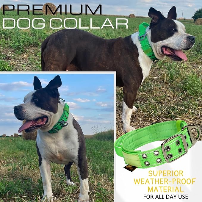 ADITYNA Heavy Duty Dog Collar for Medium Dogs - Reflective Green Collar with Handle for Training, and Walking - Wide, Thick, Tactical, Soft Neoprene Padded