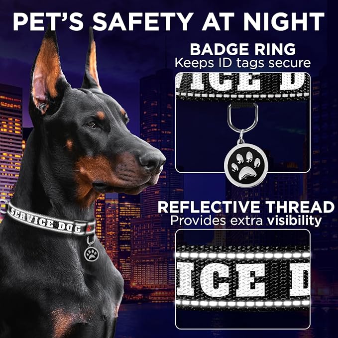 TECEUM Reflective Pet Collar – Black - Service Dog – M – Extra Soft Padding – Basic Nylon Dog Collar – Quick Release Buckle – Fits Small, Medium and Large Dogs, Puppies, Cats