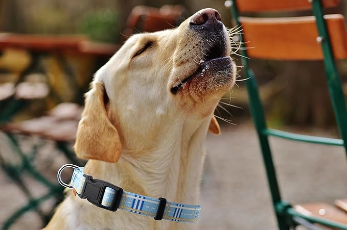 Dog Collar, Cute Stripe Pattern, Soft and Adjustable Collar with Quick Release Buckle (L (Neck 16-28", Width 1"), Stripe Blue)