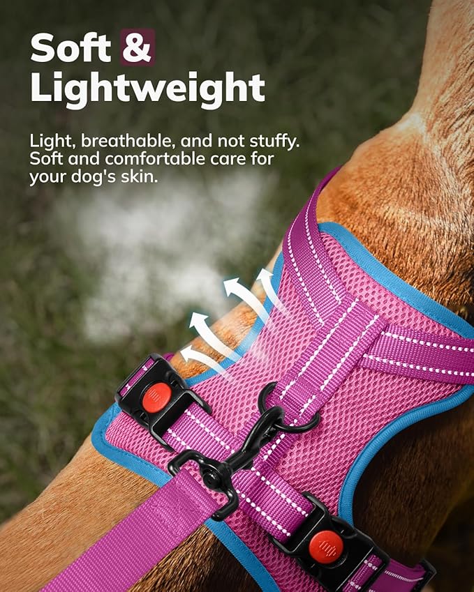 MIDOG No-Pull Dog Harness | Adjustable & Reflective Pet Harness Leash Set for Small Medium Large Dogs Walking, Training| No Choke, Front Clip, Soft Padded Vest with Easy Control Handle - Pink, L