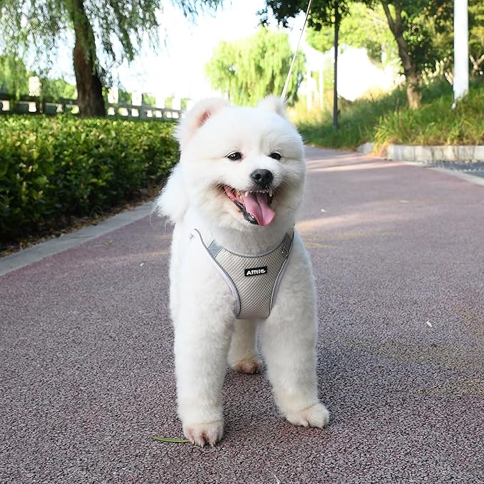 AIITLE Dog Harness and Leash Set, No Pull Step in Puppy Harness with Super Breathable Mesh, Reflective Puppy Essentials for Outdoor Walking, Training for Small Dogs, Cats Beige XS