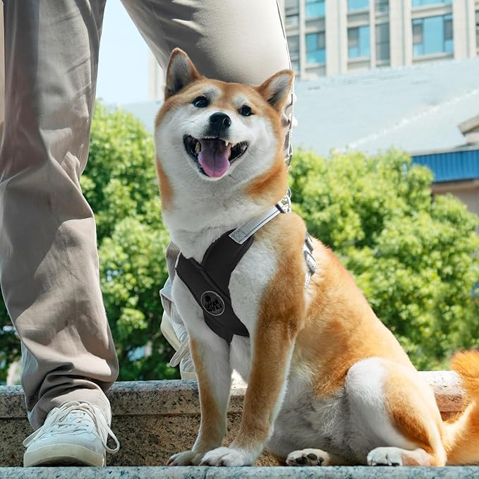 Patas Lague Dog Harness with Leash Set Adjustable Soft Padded Step-in Dog Vest No Choke No Pull Reflective for Small Medium Pets with Poop Bags and Dispenser, Solid and No-chew, Black S