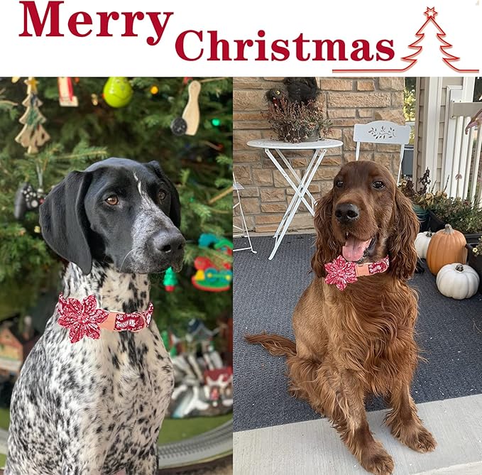 Unique style paws Christmas Dog Collar with Flower Tie Winter Gingerbread Snowman Theme Puppy Collar for Small Medium Large Dogs-S