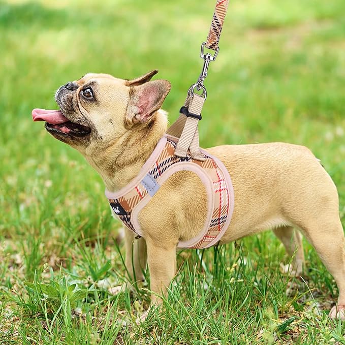 PUPTECK Dog Harness and Leash Set for Small Medium Dogs No Pull Step-in Soft Mesh Puppy Cat Vest Harnesses Reflective at Night, Plaid Pattern Beige M