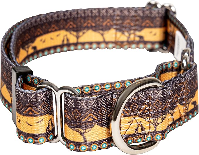 Downtown Pet Supply - Martingale Collar for Dogs - Dog Training Collar - Big, Wide & Thick Dog Collar - Escape-Proof, Weatherproof, Durable and Comfortable - Sahara - Small Dog Collar