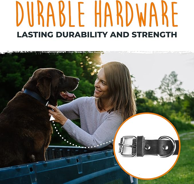 Mighty Paw Leather Dog Collar - Genuine Distressed Leather - Strong Metal Buckle - Ultimate Comfort - Modern Style for All Dogs Breeds - Comfort Puppy Collar - (Medium - Black)