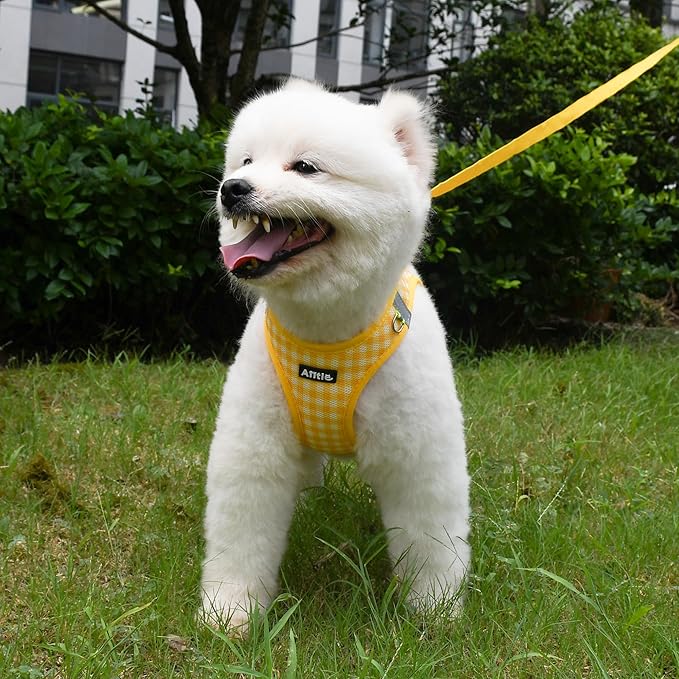 AIITLE No-Pull Pet Harness with a Leash, Plaid Comfort Padded Vest, Step in Dog Harness, Reflective Bands, Soft Breathable Pet Supplies, for Small and Medium Dogs and Cats Yellow S