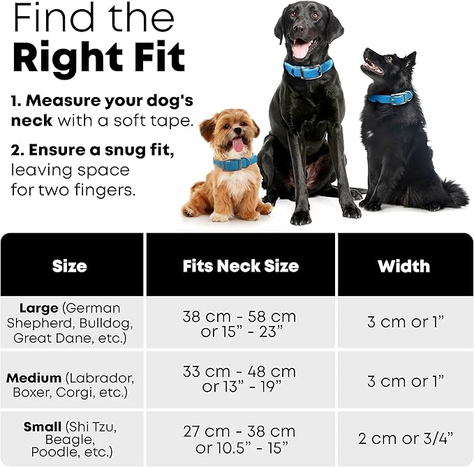 Regal Dog Products Small Light Blue Dog Collar with Heavy Duty Double Buckle & D Ring | Vinyl Coated, Custom Fit, Adjustable Biothane Dog Collar Chew Resistant Waterproof Collar for Dogs