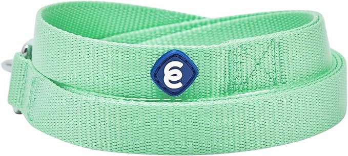 Blueberry Pet Essentials Durable Classic Dog Leash | Basic Nylon Dog Leash | 4ft. x 1" Large Dog Leash | Pastel Green Dog Leash | Standard Dog Leashes & Lightweight Dog Leash for Training