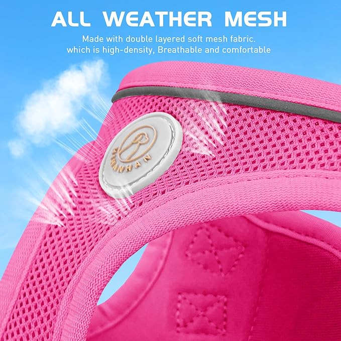 Soft Mesh Dog Harness and Leash Set, No Pull Puppy Harness and Leash Set, Reflective Step in Harness for Small Medium Dogs, Easy Walk Escape Proof Vest Harnesses (Rose Red, XS)