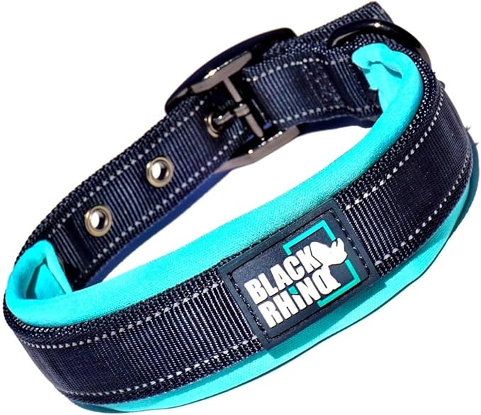 Black Rhino Dog Collars for Medium Dogs - Adjustable Reflective Heavy Duty Dog Collar with Ultra-Soft Neoprene Padding - Weatherproof, Durable, and Comfortable - Ideal for Active Dogs - Aqua and Gray