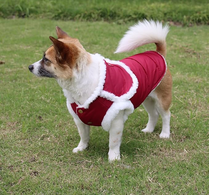 Shawl Design Fleece Lined Warm Dog Jacket for Winter Cold Weather,Soft Windproof Medium Dog Coat,Red L