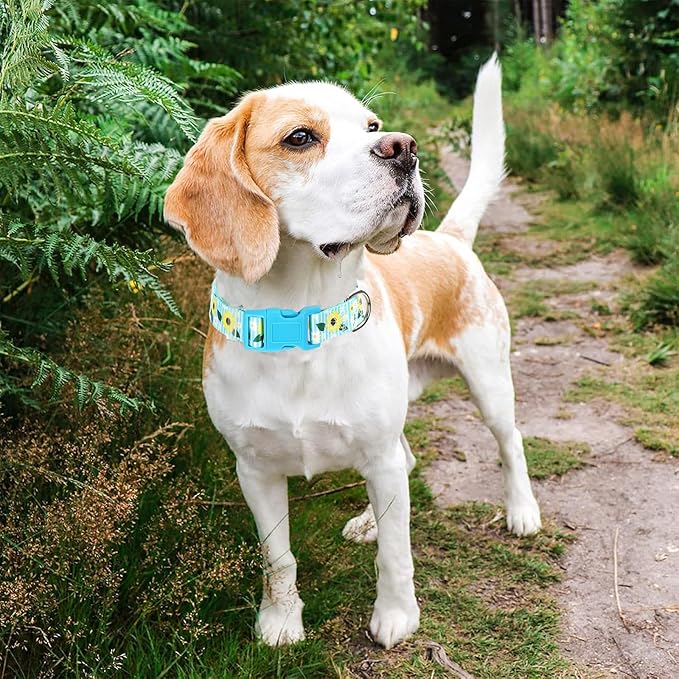 Sunflower Floral Dog Collar - Soft Nylon Adjustable Collar for Small Dogs, Quick-Release Buckle, Durable Pet Collar for Boy and Girl Puppies (S)