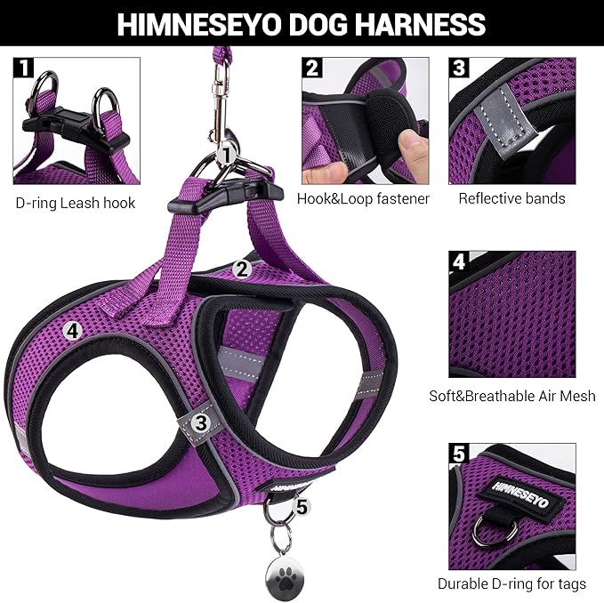 Dog Harness and Leash Set, Dog Harness for Dogs No Pull, No-Chock Step-in Reflective Breathable Lightweight Easy Walk Vest Harnesses with Safety Buckle for Small Medium Dogs, Cats (Purple, XS)
