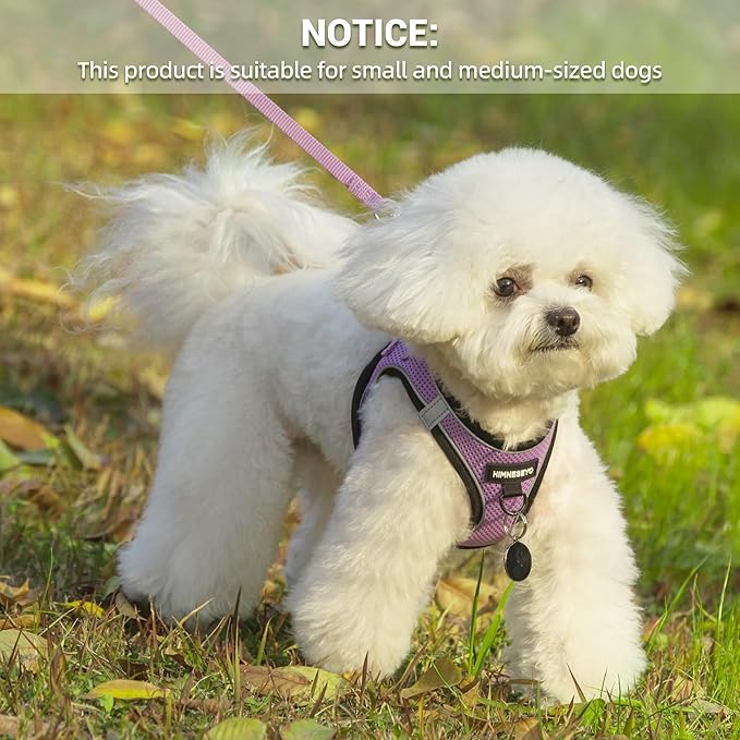 Dog Harness and Leash Set, Dog Harness for Dogs No Pull, No-Chock Step-in Reflective Breathable Lightweight Easy Walk Vest Harnesses with Safety Buckle for Small Medium Dogs, Cats (Light Purple, S)