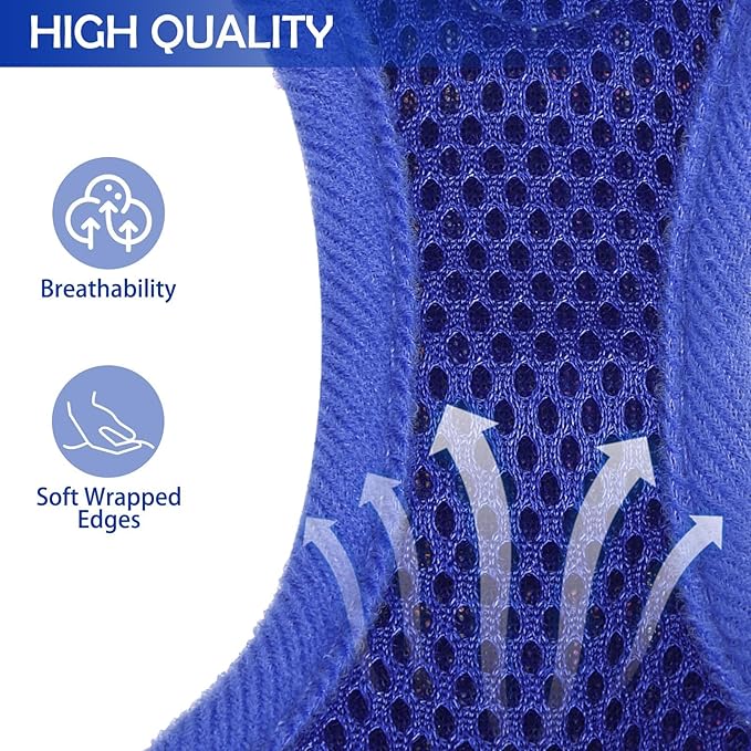 SCENEREAL Puppy Dog Harness with Leash Set for Small Medium Sized Dogs, Soft Mesh Step in Pet Harnesses and Leash, No Chock Plaid Adjustible No Pull Vest for Dogs Cats, Chihuahua,Bulldog (Blue S)