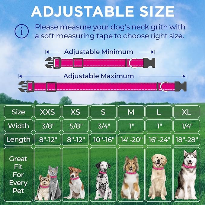 TECEUM Reflective Pet Collar – Hot Pink – M – Extra Soft Padding – Basic Nylon Dog Collar – Quick Release Buckle – Fits Small, Medium and Large Dogs, Puppies, Cats – ESA & Service Dog Options
