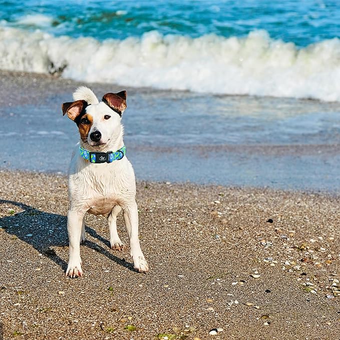 Elegant little tail Dog Collar, Pet Collar Blue Puppy Collar Plastic Durable Holiday Female or Male Cotton Adjustable Pet Collar with Quick Release Buckle for Large Dogs