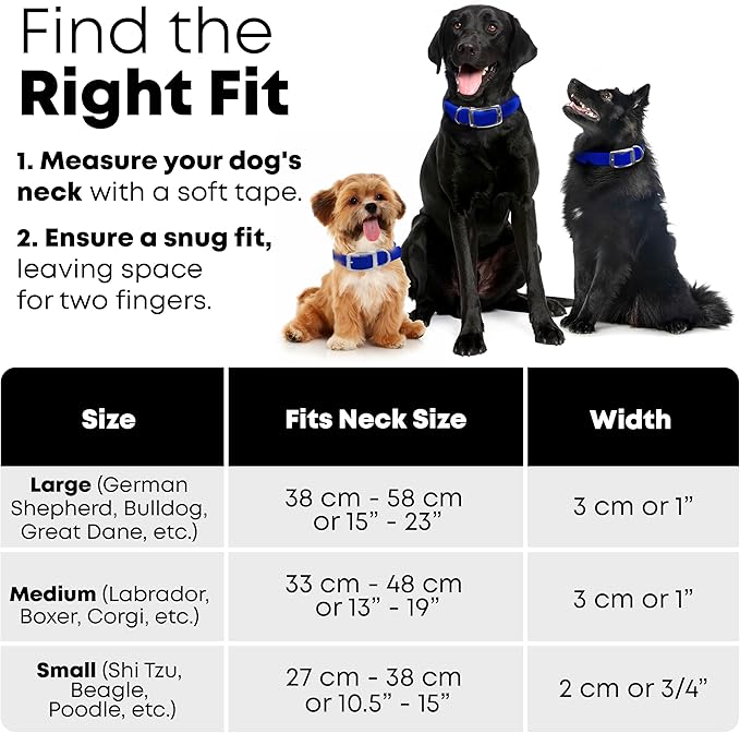 Regal Dog Products Large Blue Reflective Dog Collar and Leash Set - Waterproof Biothane Dog Collar with Heavy Duty Double Buckle, D Ring & 5ft Leash - Other Size for Medium & Large Dogs