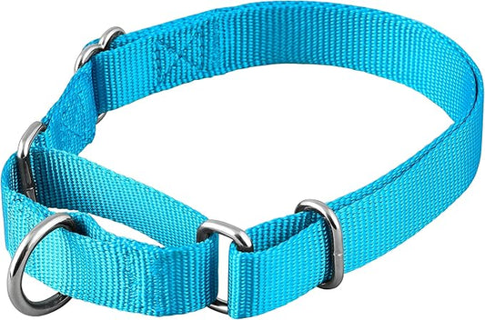 Native Pup Martingale Dog Collar, Adjustable for Small, Medium, Large pet and Puppies Accessories, Cute Colors for Male, Female, Boy, Girl, Puppy (Small, Blue Turquoise)