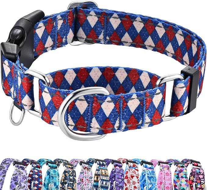Reflective Martingale Dog Collar with Buckle Soft Nylon Geometric Patterns Pet Collars for Medium Dogs (Argyle, M)