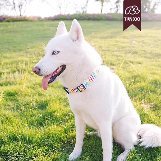 Tunkoo Pride Dog Collar with Colorful Heart, Cute Adjustable Premium Cotton Collar Durable Plastic Buckle for Valentines Day Small Medium Large Boys Girls Dogs, L