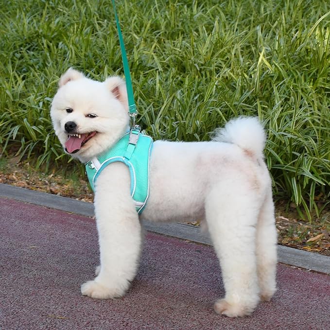 AIITLE Small Dog Harness, No-Pull Cat Harness with a Leash, Step in Adjustable Puppy Harness with Quick-Release Buckle, Reflective Outdoor Pet Vest for Extra Small Dogs and House Cats Turquoise XXS