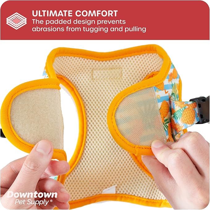 Downtown Pet Supply Step in Dog Harness for Teacup Dogs & Cats No Pull, XX-Small, Pineapple - Adjustable Harness with Padded Mesh Fabric and Reflective Trim - Buckle Strap Harness for Dogs